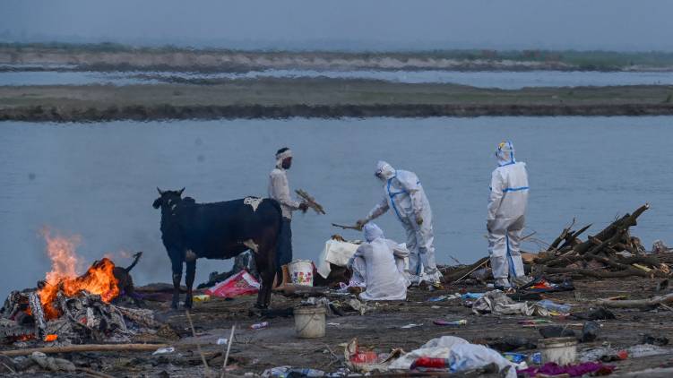 ganga dead bodies