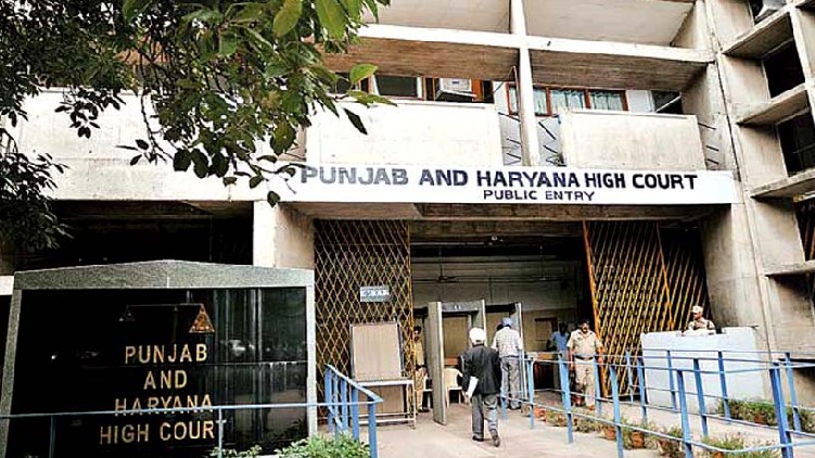 High Court Live In