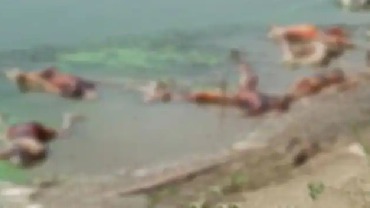 Floating Corpses Count bihar