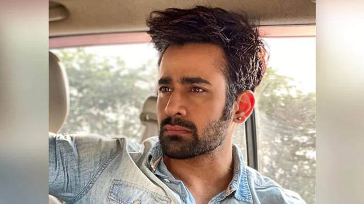 Naagin Actor Pearl Puri Arrested For Allegedly Raping Minor