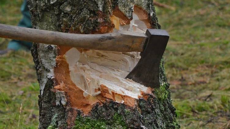 wood cutting