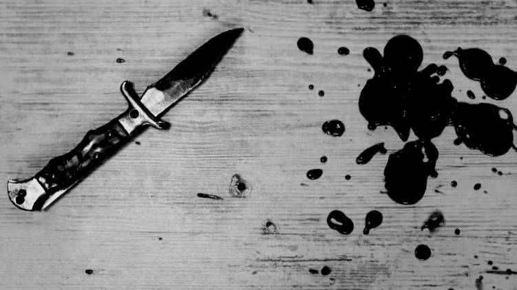 delhi old woman stabbed 20 times