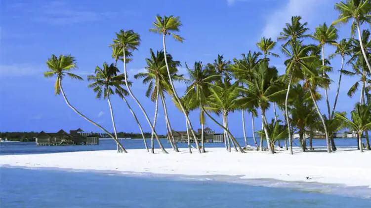 lakshadweep curfew extended