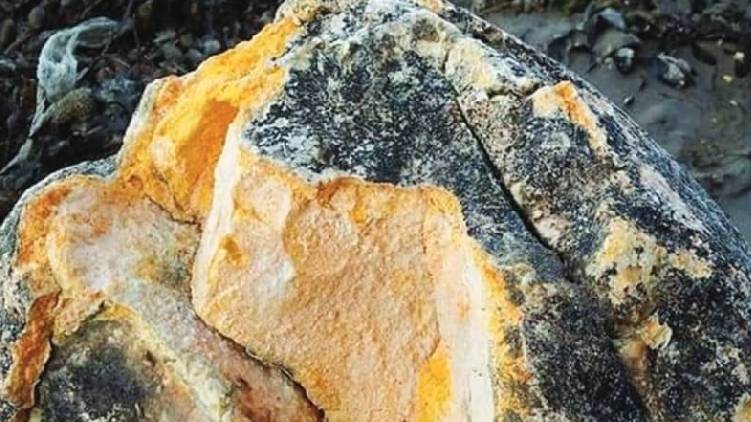 5kg ambergris munnar