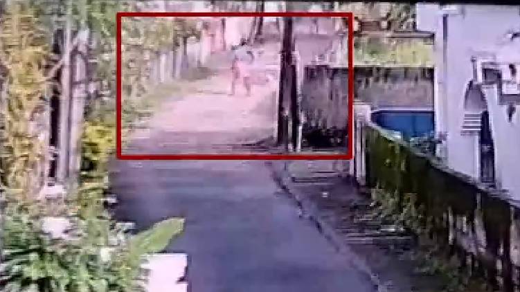 Incident beating to death street dogs as per instruction of Health Inspector