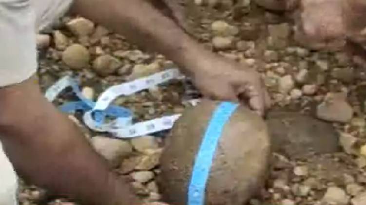 skull found in malappuram