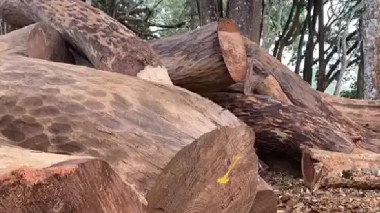 wood