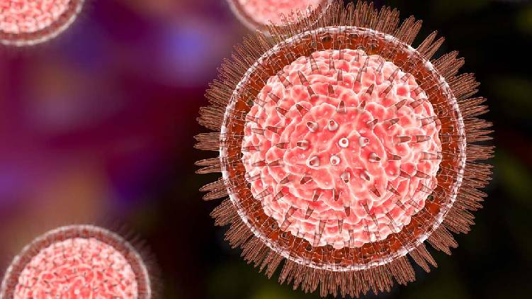 5 more zika case