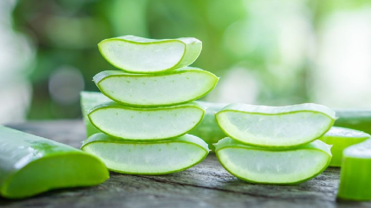 benefits of aleo vera