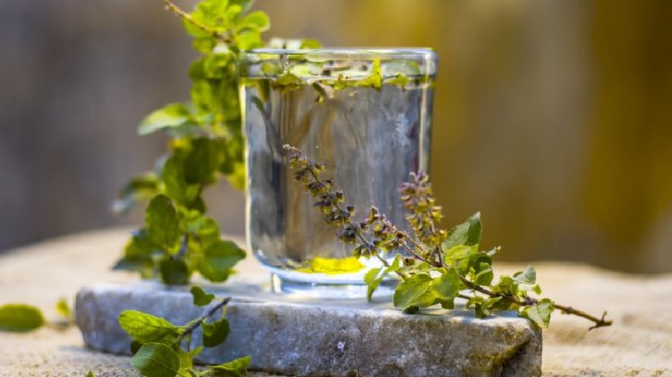 benefits of basil water
