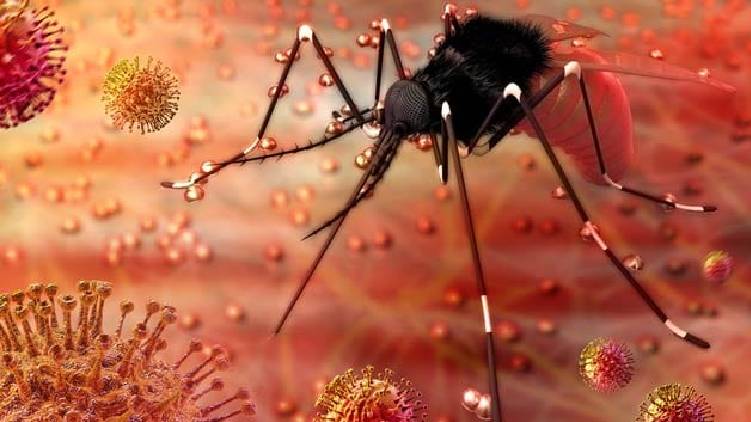 center sends special team to kerala to study zika virus