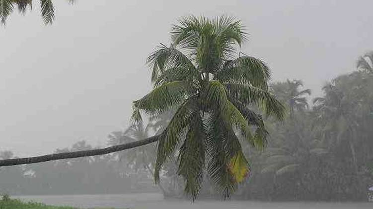 kerala gets poor monsoon shower