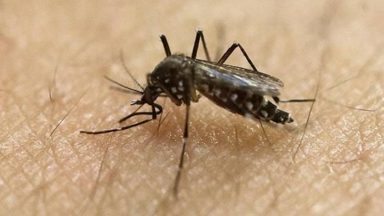 need to strengthen precautionary measures against zika says center