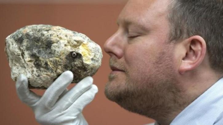 what is whale vomit ambergris 24 explainer
