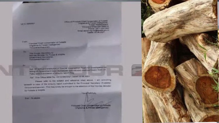 wood robbery revenue report