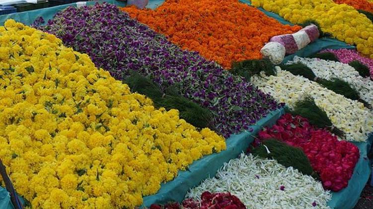 onam flower price