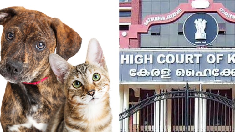 Issuing Licenses for pets