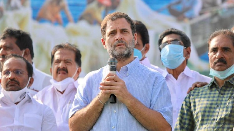 rahul gandhi wayanad collector