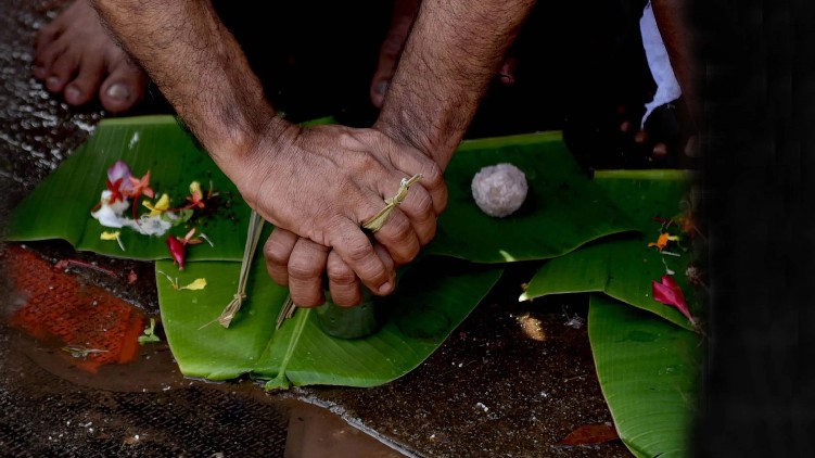 vavu bali