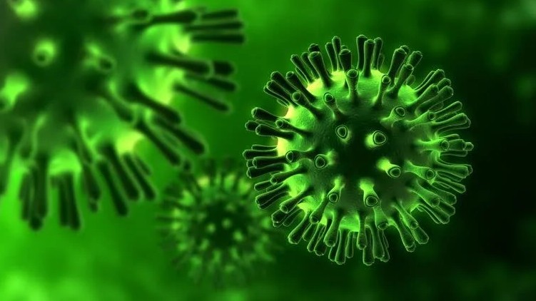 origin of coronavirus