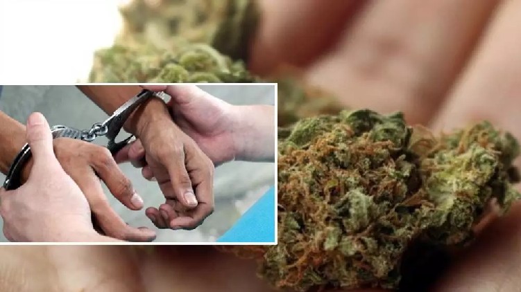 Ganja youtuber was arrested
