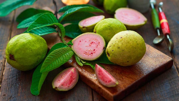 guava Fruit