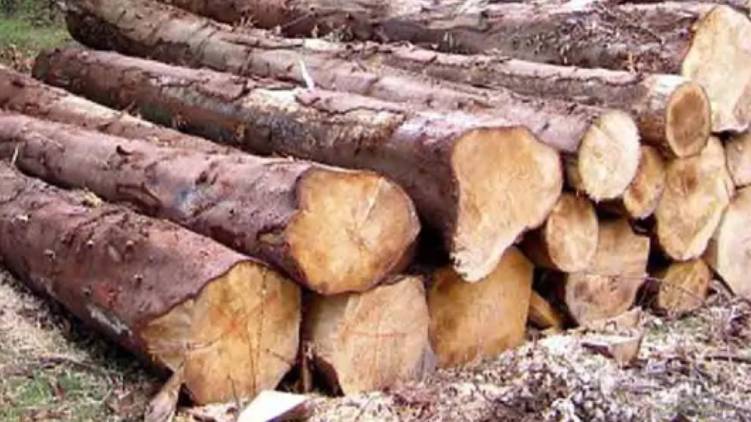kerala wood robbery explanation