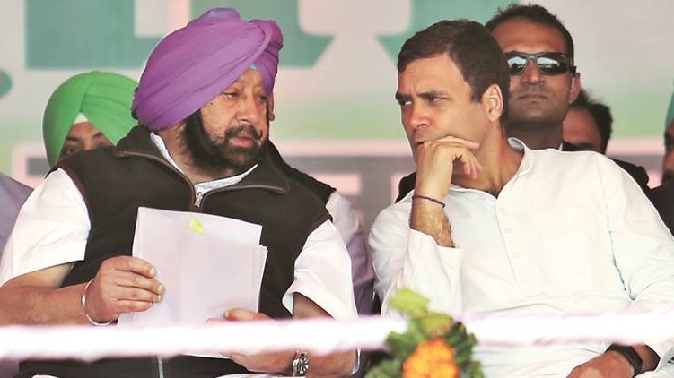amarinder singh rahul gandhi