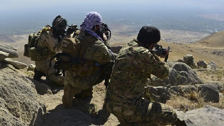 700 taliban killed afghanistan