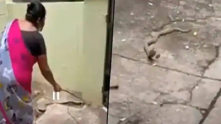 Women Cobra Viral Video