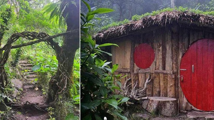Hobbit house in Nagaland