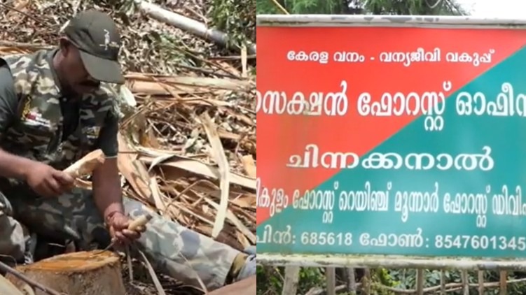 chinnakkanal tree felling