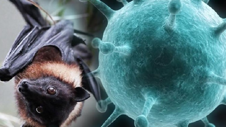 NIPAH