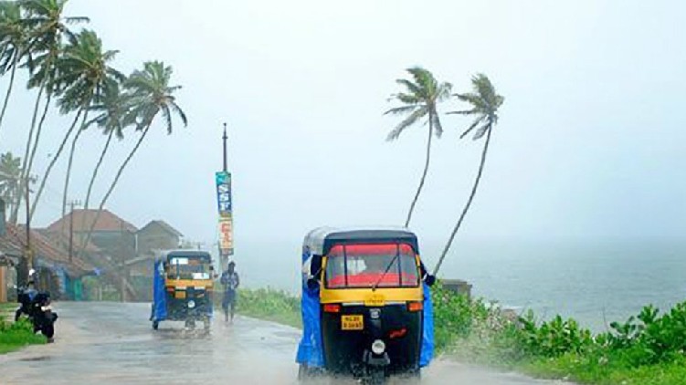 rain