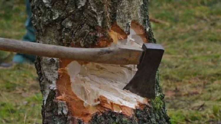 muttil wood robbery officer suspension cancelled