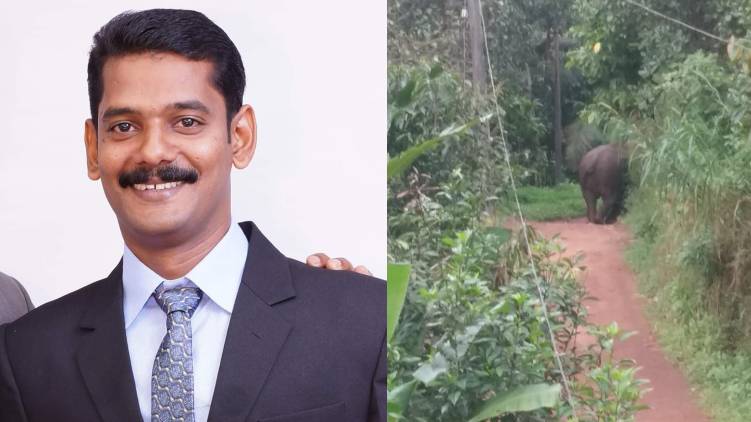 elephant kills man in kannur