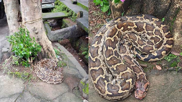 python tied with rope