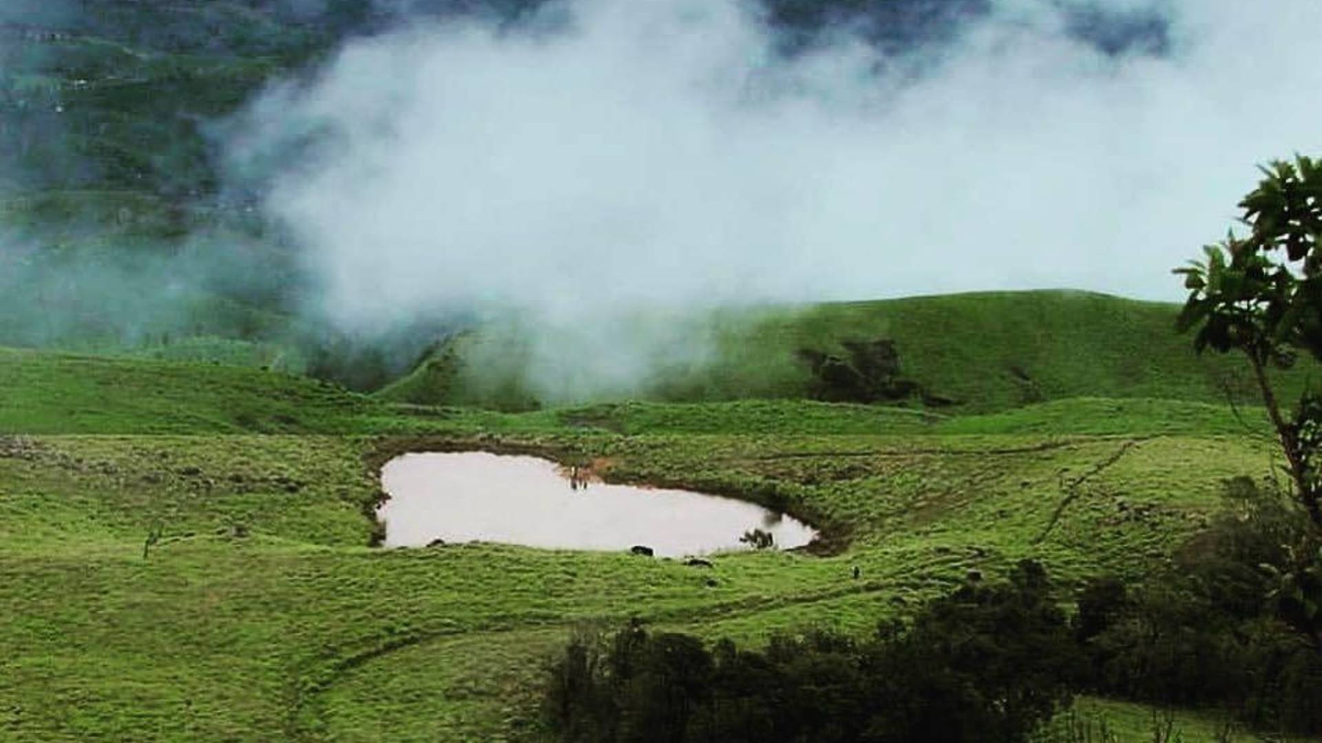 wayanad chembra peak restriction ചെമ്പ്ര പീക്കിൽ നിയന്ത്രണം