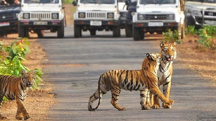Jim Corbett renamed Ramganga