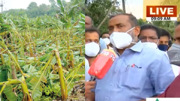 Destruction of crops