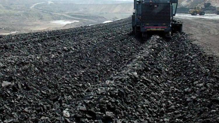 coal india halts e auction