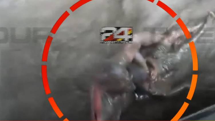 ksrtc driver rescue tourist kumili