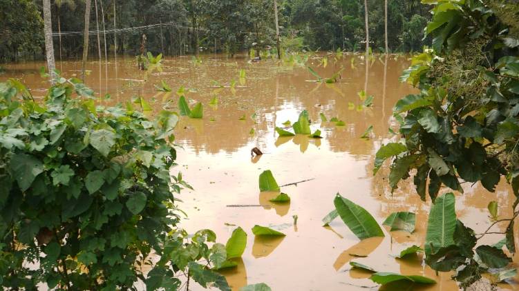pamba water level rises