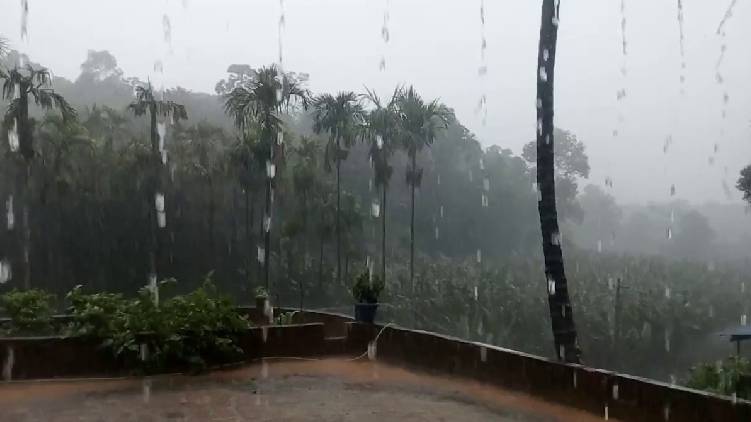 wayanad rain