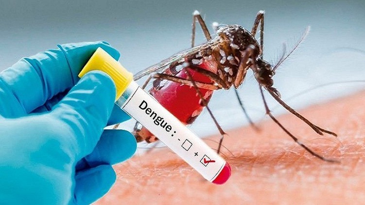 delhi dengue cases