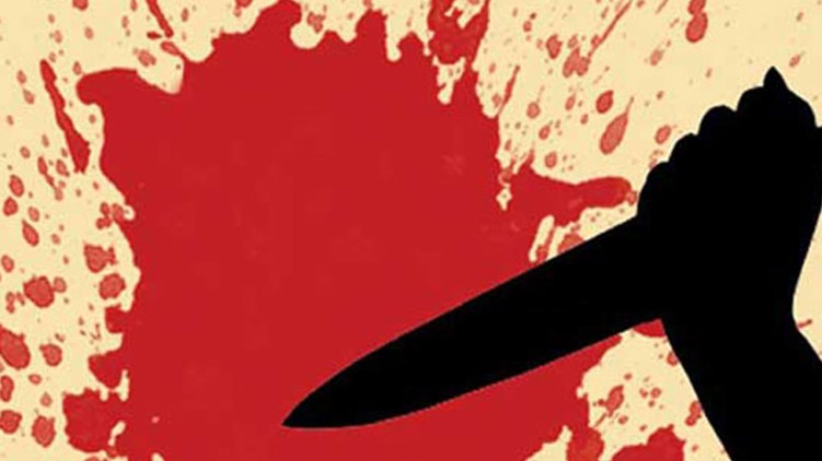 dyfi-sdpi clash