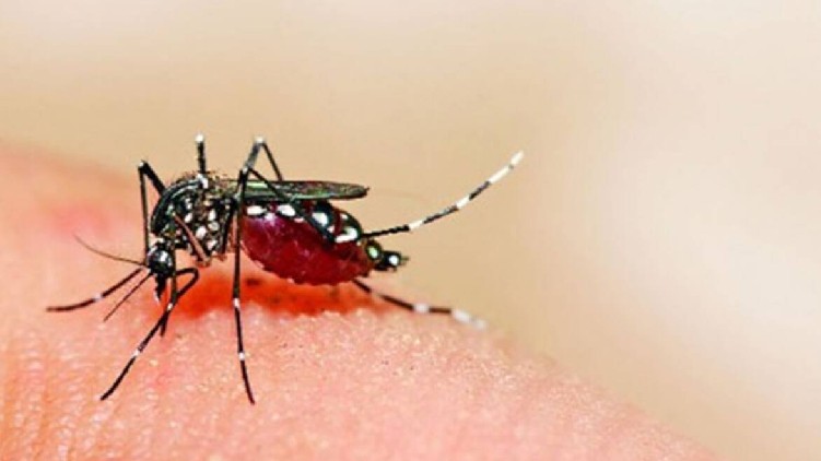 zika virus kanpur