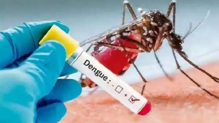 dengue rise