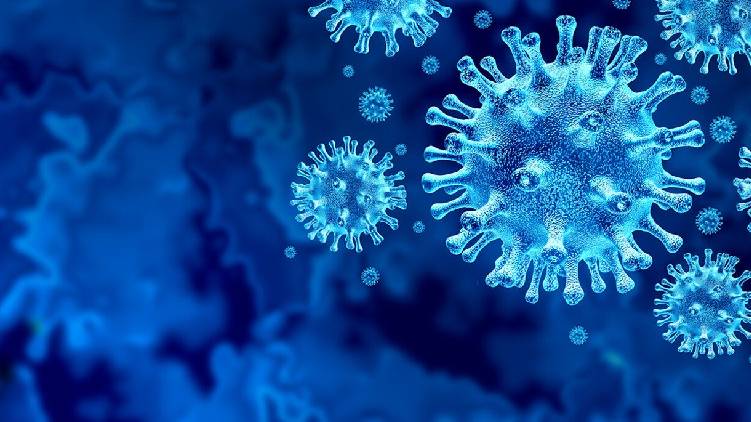 kerala reports 5297 covid cases
