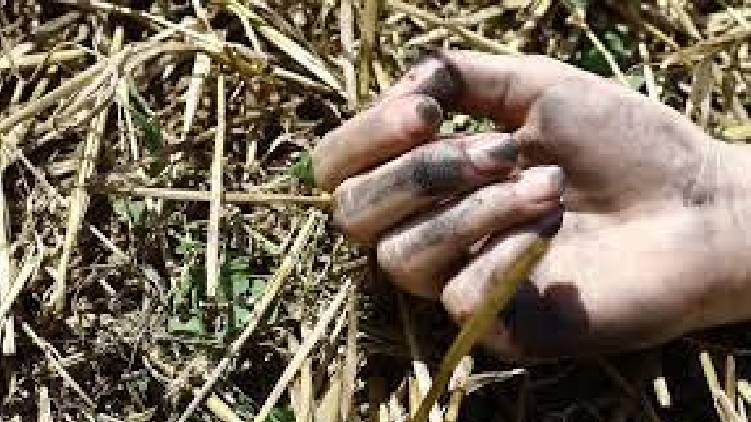 neyyar woman dead